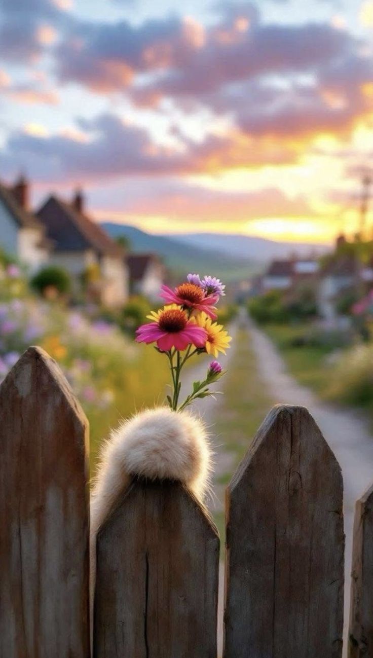 Утро раннее вставало