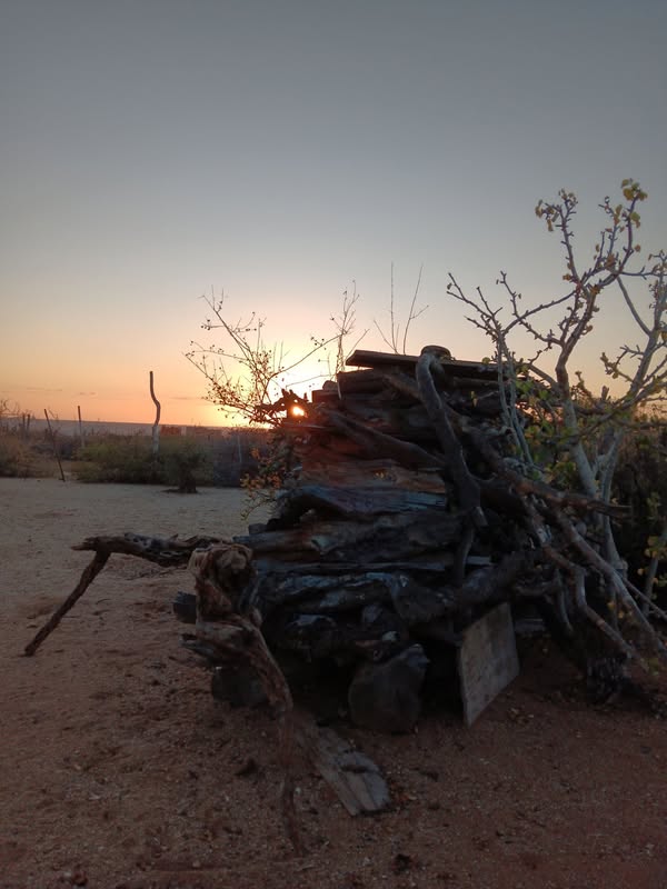 Город женщин ин. Новогоднее