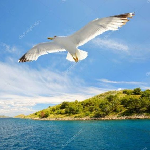 Наталия Маркелова